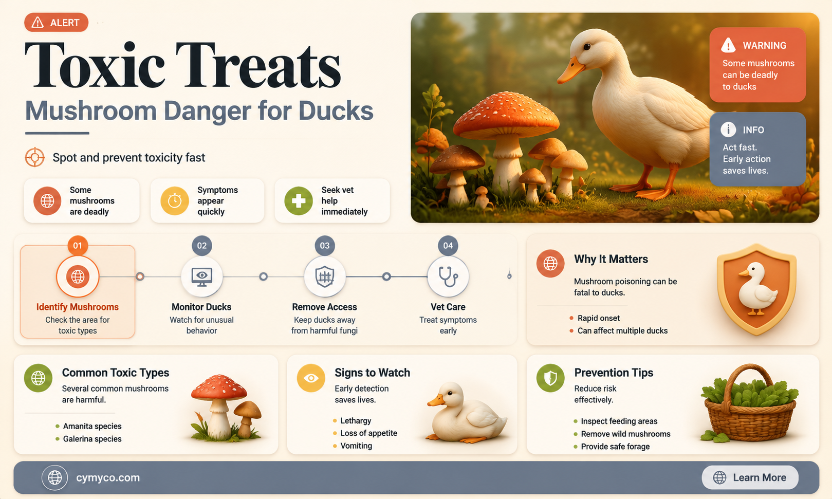 are mushrooms poisonous to ducks