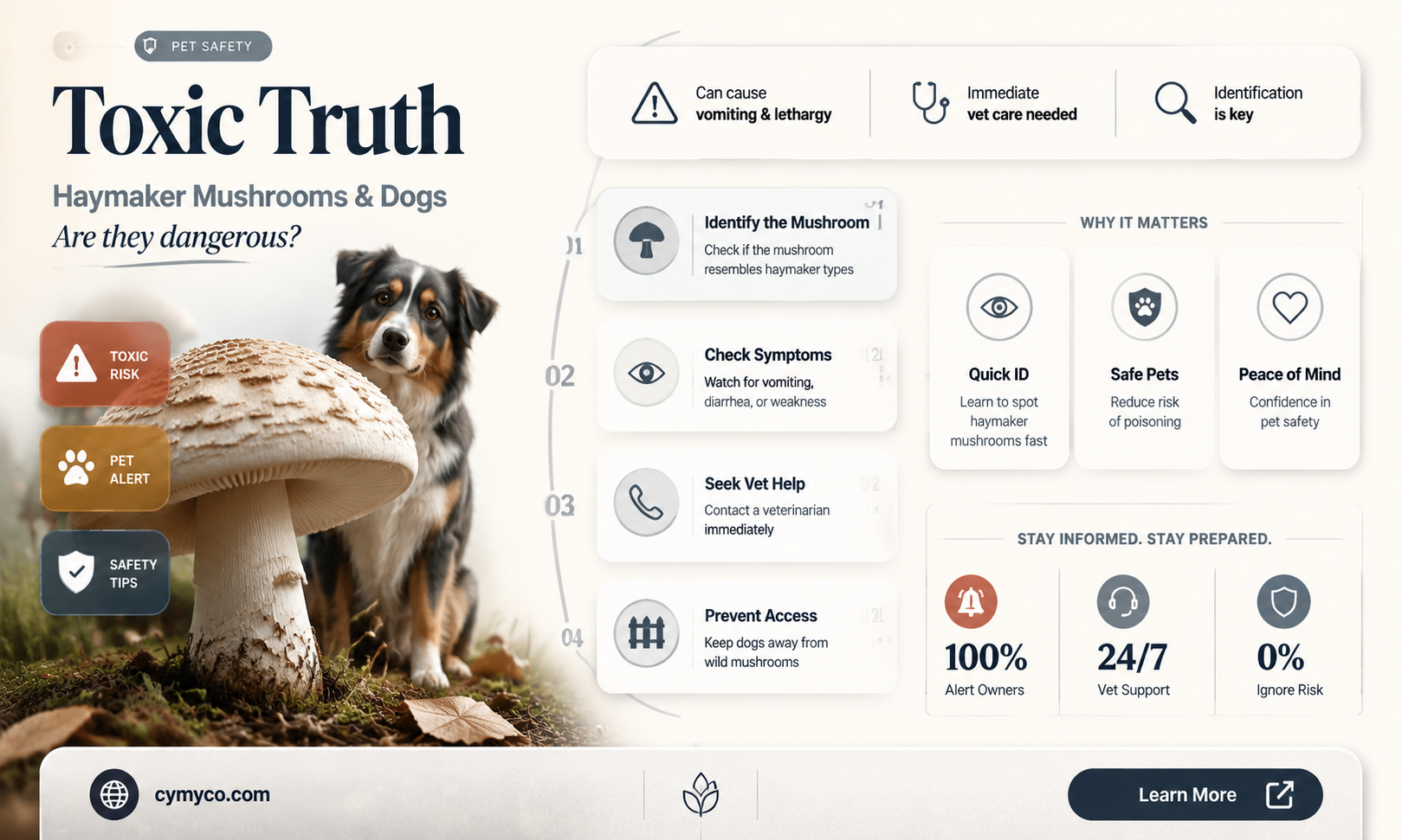 are haymaker mushrooms poisonous to dogs