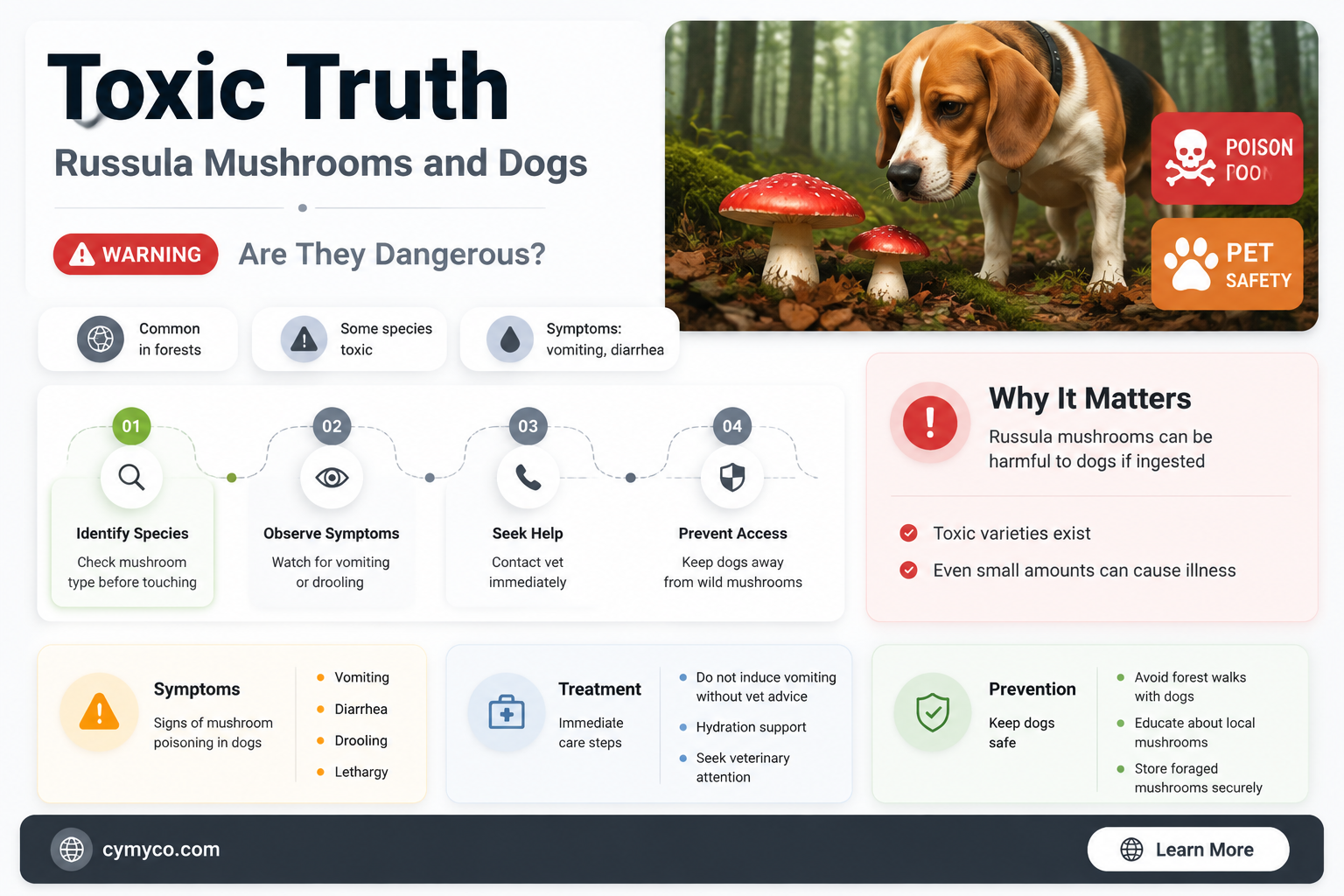 are russula mushrooms poisonous to dogs