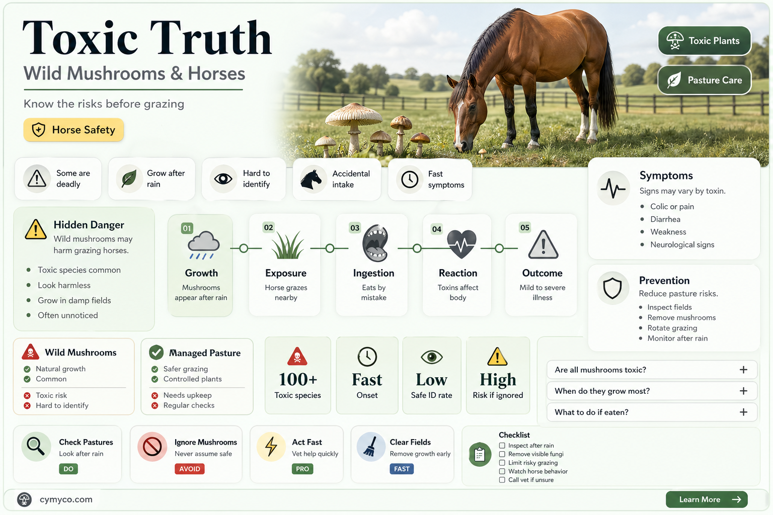 are field mushrooms poisonous to horses
