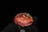types russula