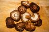types shiitake