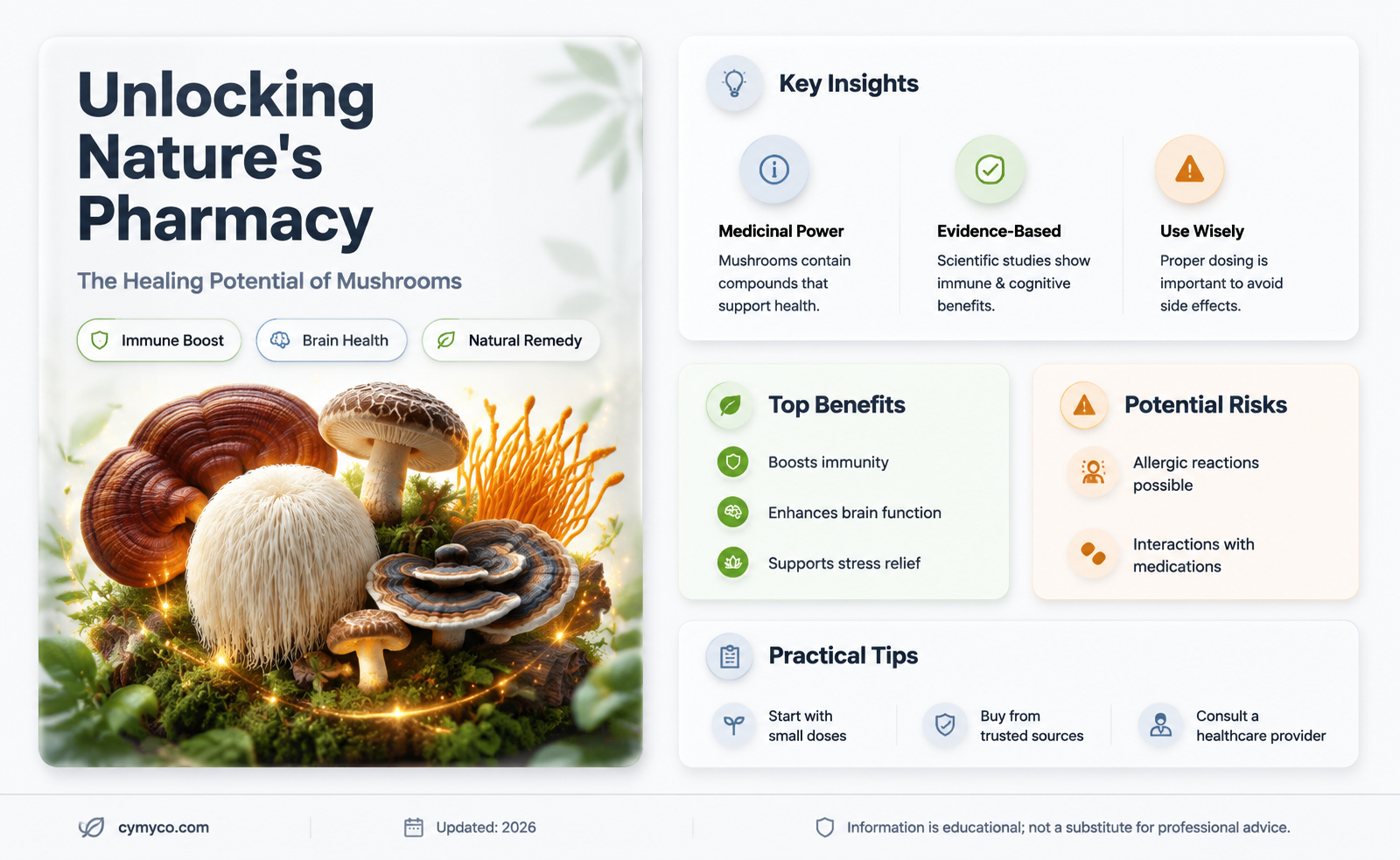 can mushrooms heal the body