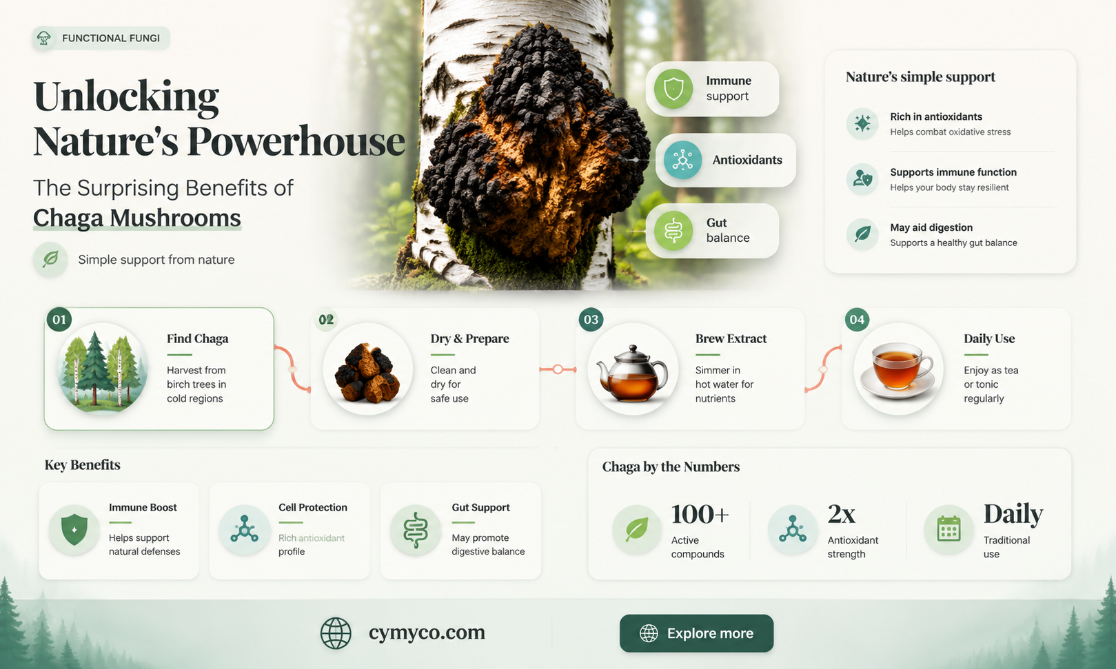 what are chaga mushrooms good for