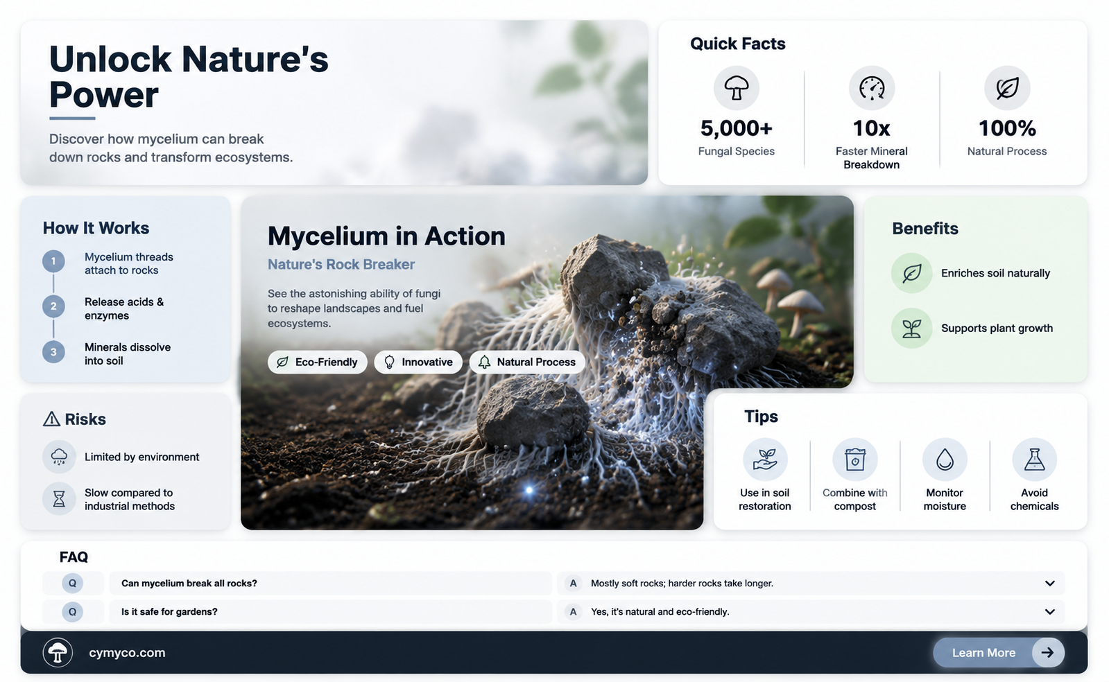 can mycelium break down rocks