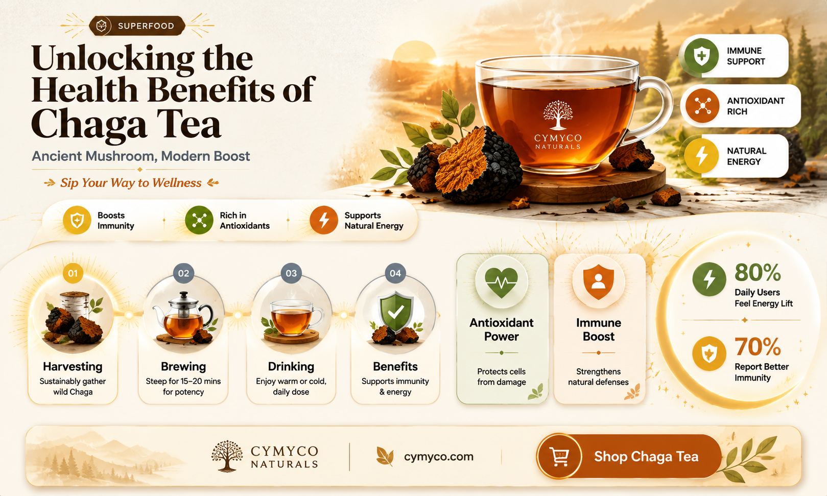 what is chaga mushroom tea good for