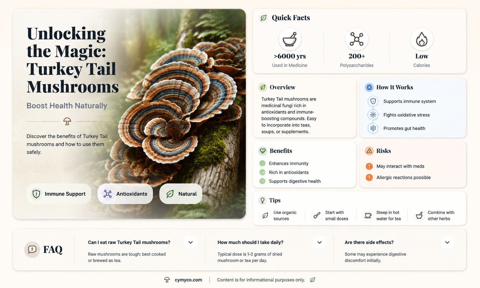 how do you use turkey tail mushrooms