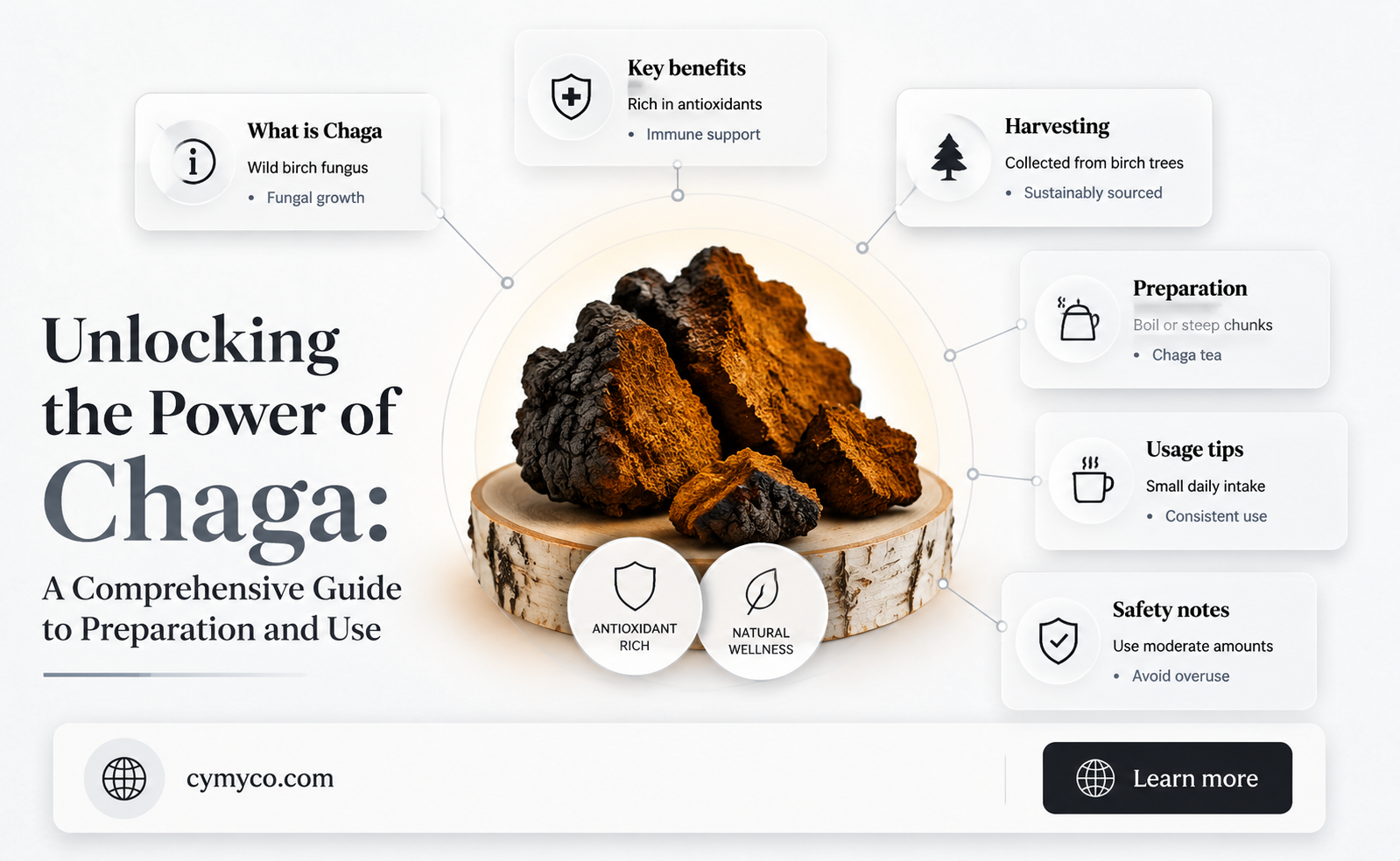 how to prepare and use chaga mushroom