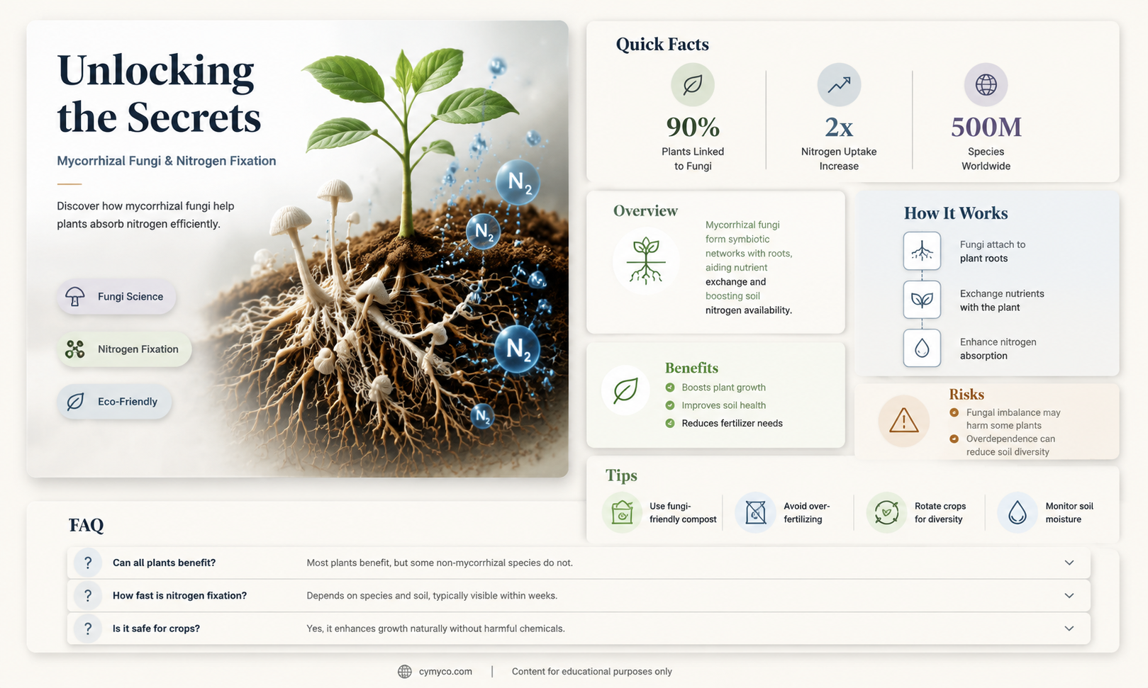do mycorrhizal fungi fix nitrogen