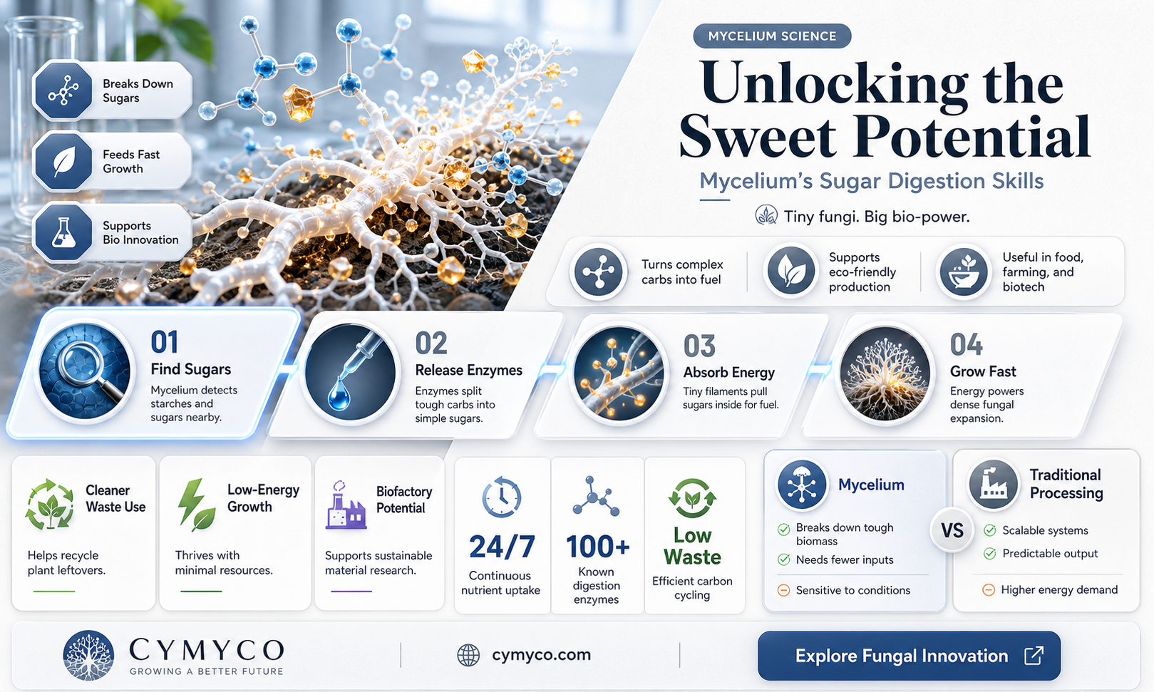 can mycelium digest table sugar