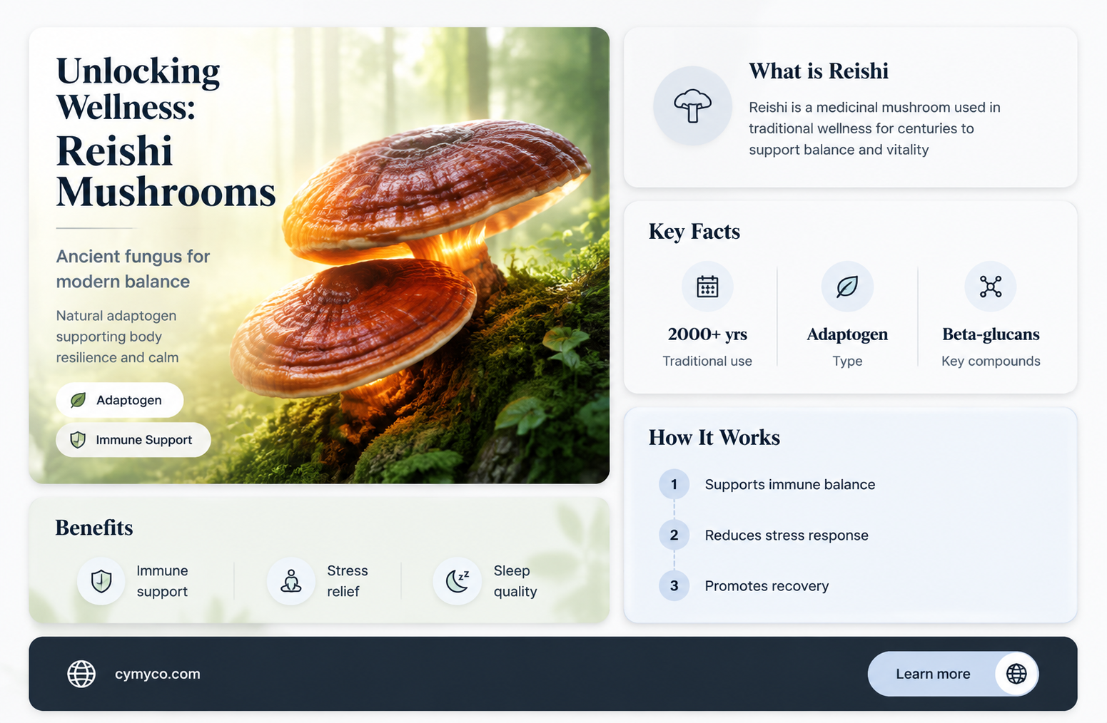 is reishi mushroom good for you