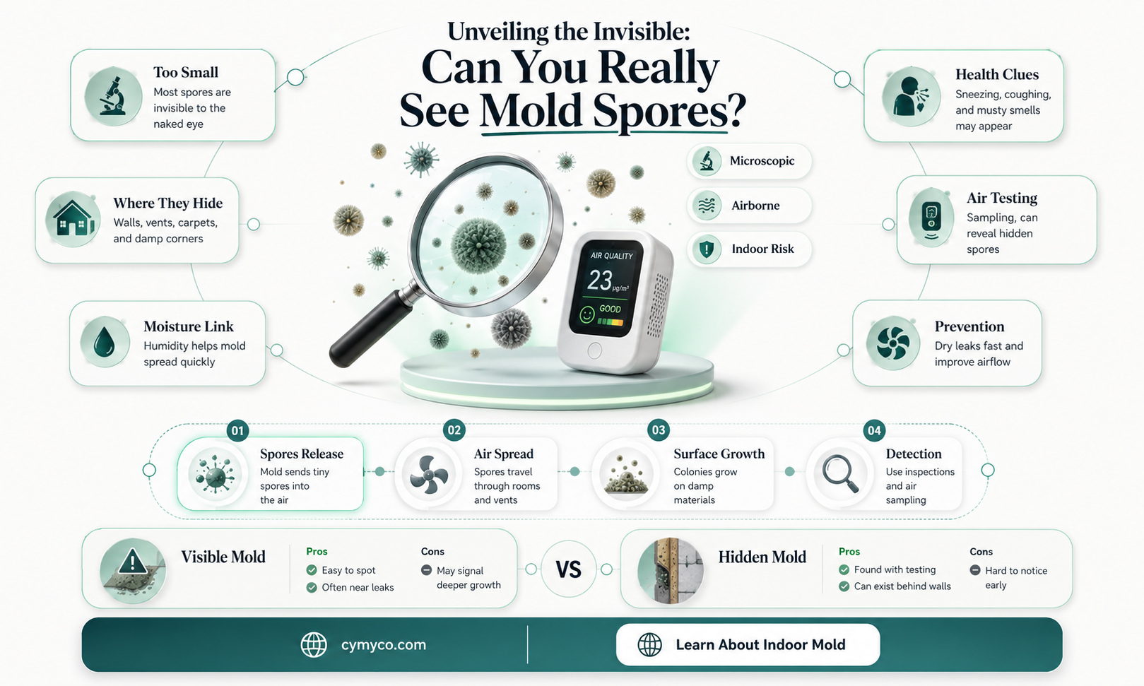 can you see mold spores