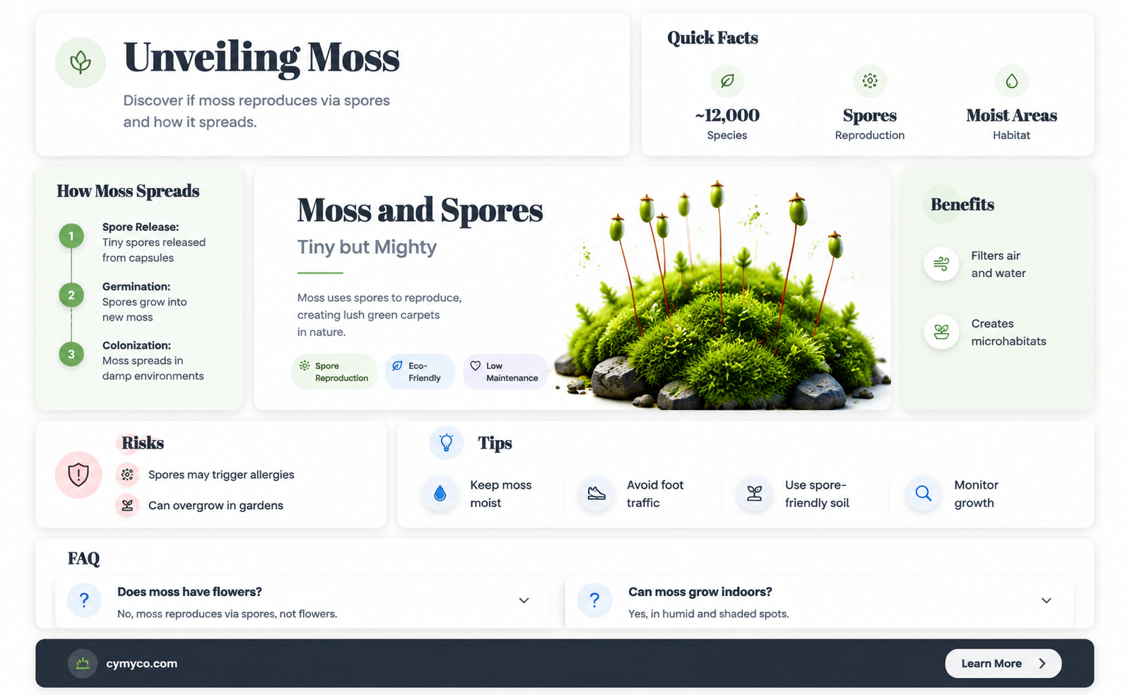 does moss have spores