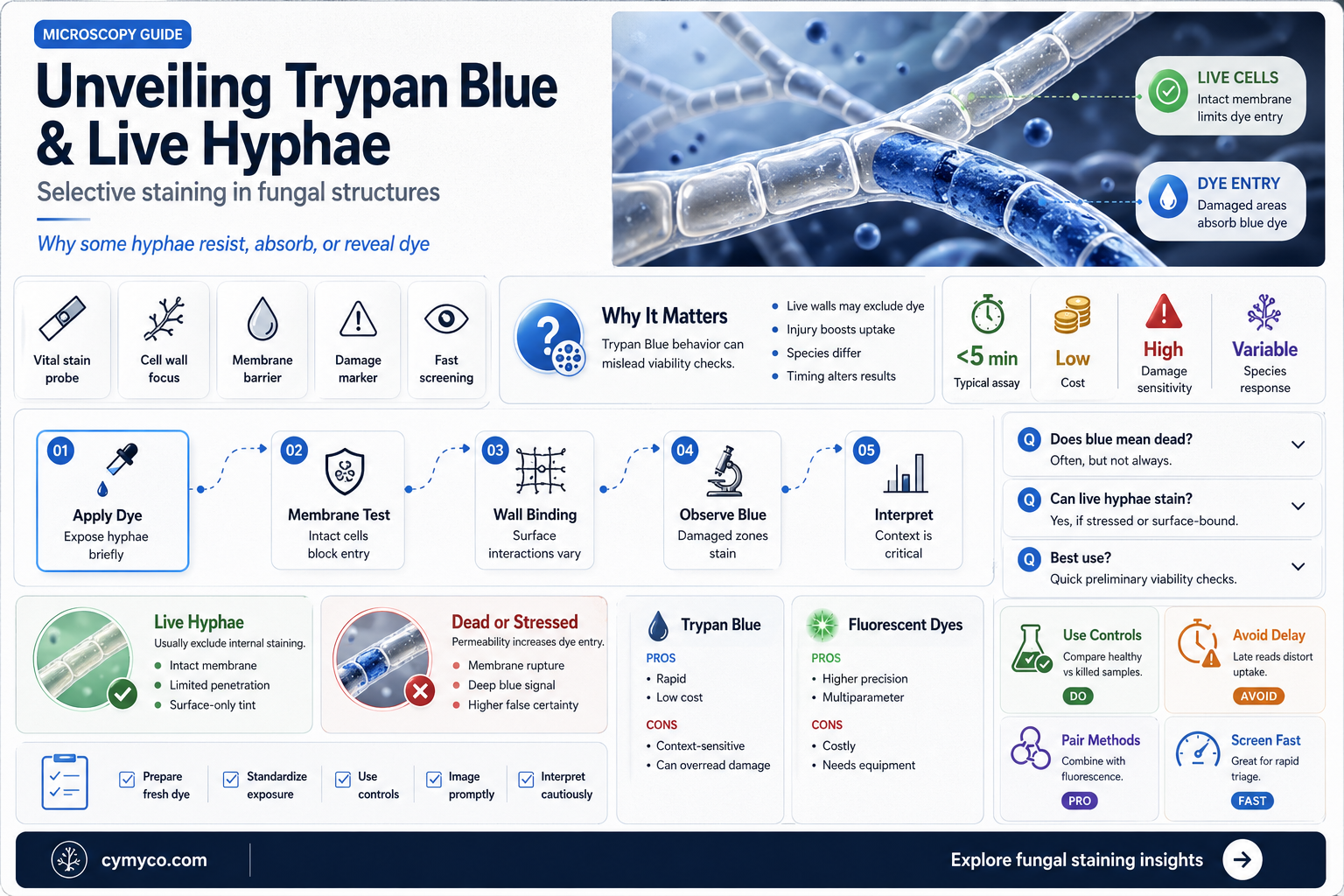 does trypan blue stain live hyphae