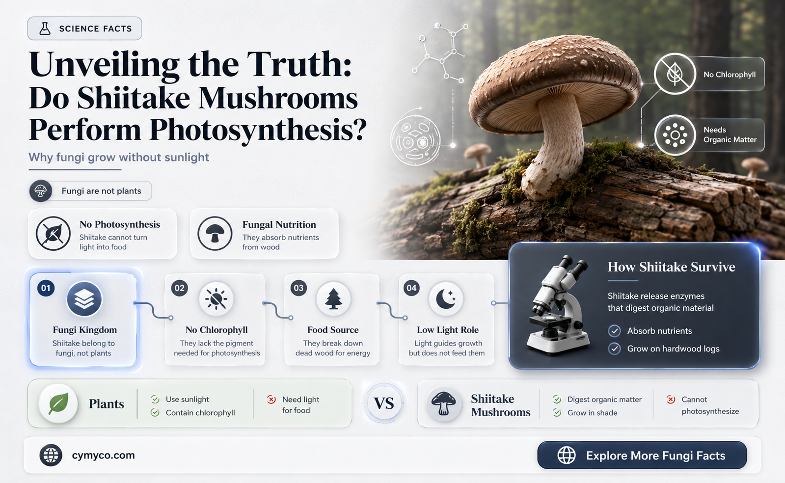 does shiitake do photosynthesis