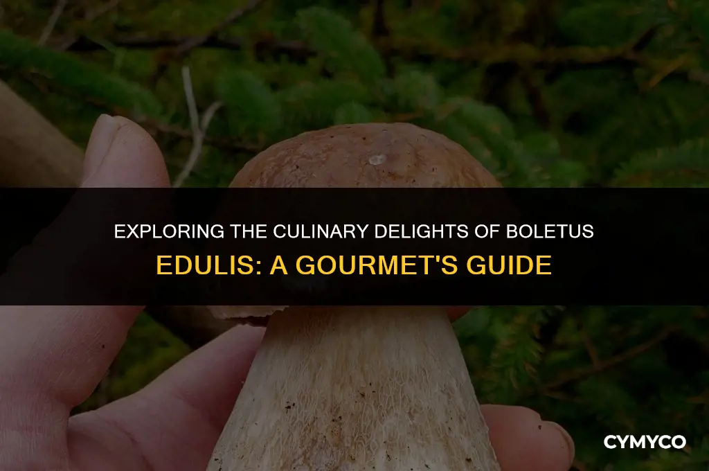 were can by boletus edulis