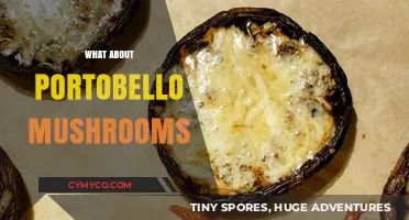 Exploring the Rich Flavor and Versatility of Portobello Mushrooms