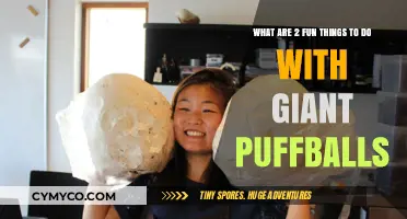 Giant Puffball Adventures: Exploring Nature's Playful Side