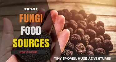 Exploring Edible Fungi: Two Delicious and Nutritious Food Sources