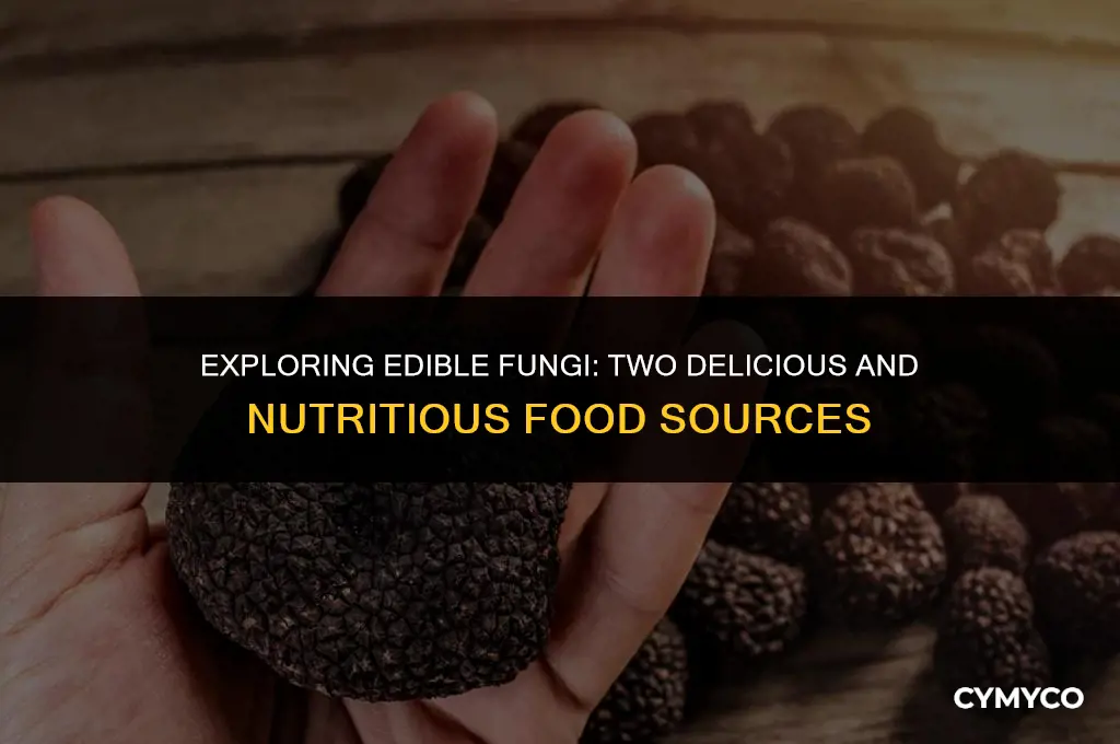what are 2 fungi food sources