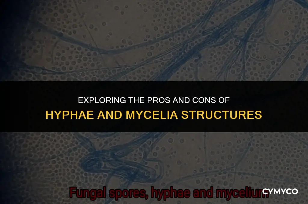 what are advantages and disadvantages of hyphae and mycelia