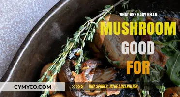 Unlocking the Health Benefits of Baby Bella Mushrooms: A Nutritional Guide