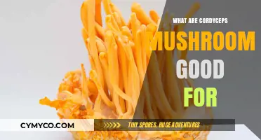 Unlocking the Health Benefits of Cordyceps Mushrooms