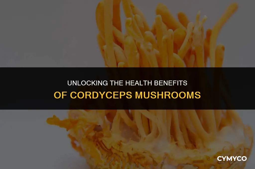 what are cordyceps mushrooms good for