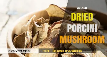 Exploring the Rich Flavor and Versatility of Dried Porcini Mushrooms