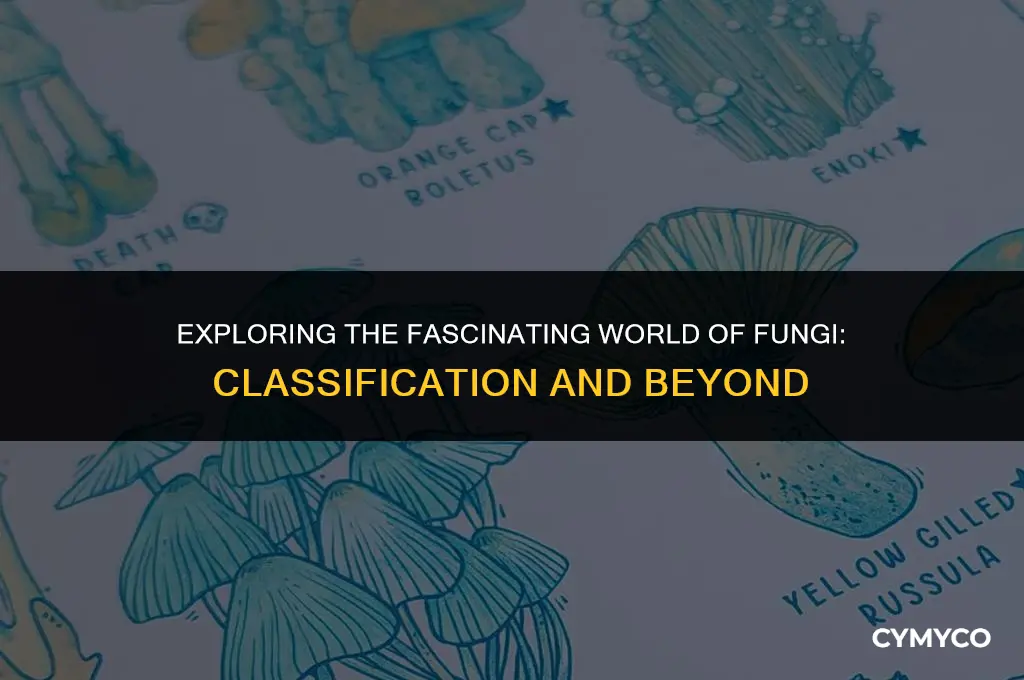 what are fungi classified as