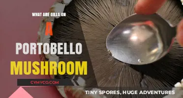 Exploring the Unique Gill Structure of Portobello Mushrooms