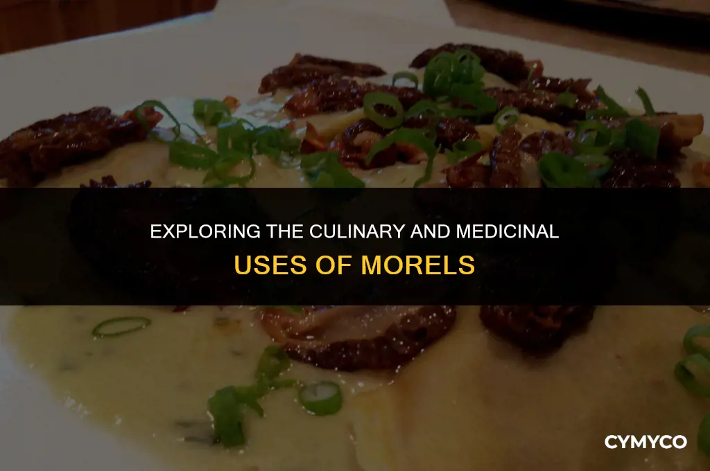what are morels used for