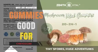 Exploring the Health Benefits of Mushroom Gummies: A Comprehensive Guide