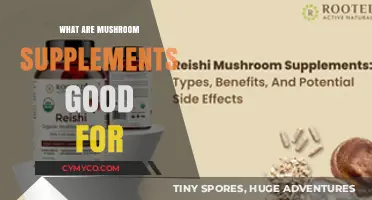 Exploring the Health Benefits of Mushroom Supplements: A Comprehensive Guide