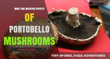 Exploring the Lesser-Known Side Effects of Portobello Mushrooms