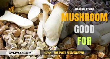 Unlocking the Health Benefits of Oyster Mushrooms: A Nutritional Powerhouse