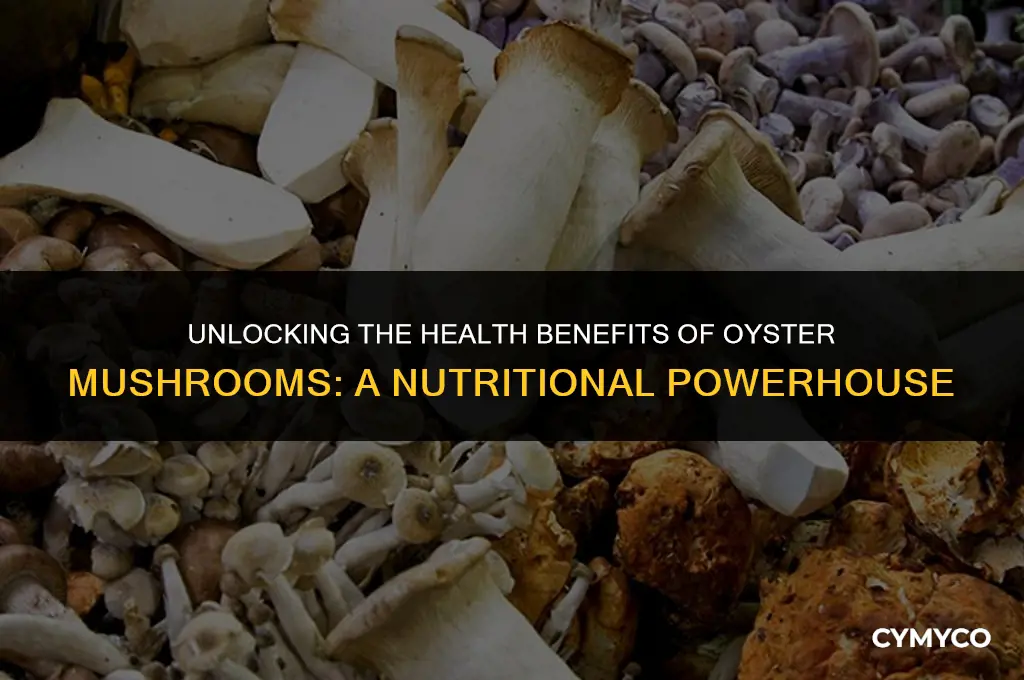 what are oyster mushrooms good for