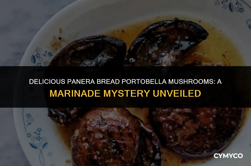 what are panera bread portobella mushrooms marinated in