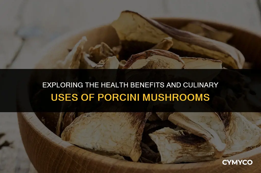 what are porcini mushrooms good for
