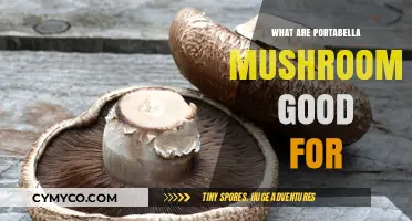 Exploring the Health Benefits and Culinary Uses of Portabella Mushrooms