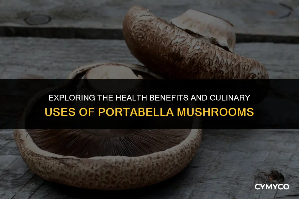 what are portabella mushrooms good for