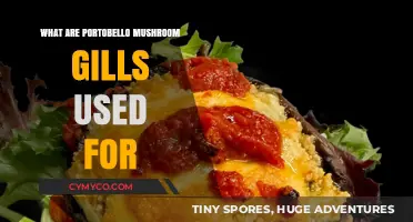 Exploring the Culinary Uses of Portobello Mushroom Gills