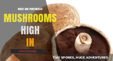 Nutritional Powerhouse: Unveiling the Health Benefits of Portobello Mushrooms