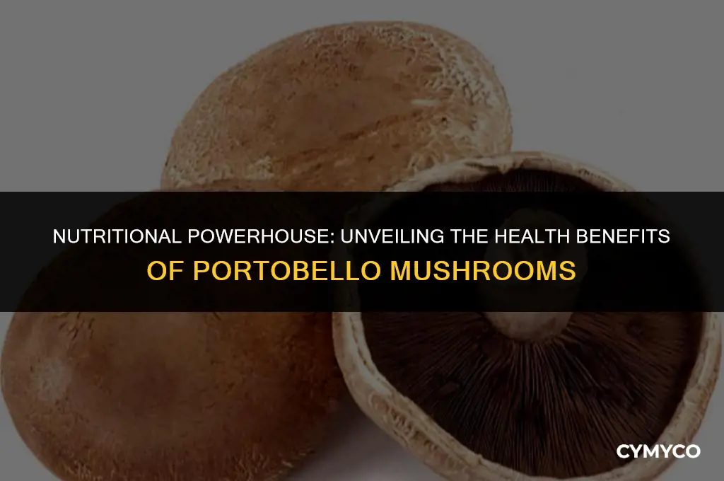 what are portobello mushrooms high in