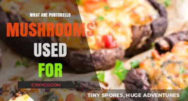 Exploring the Versatility of Portobello Mushrooms in Culinary Delights
