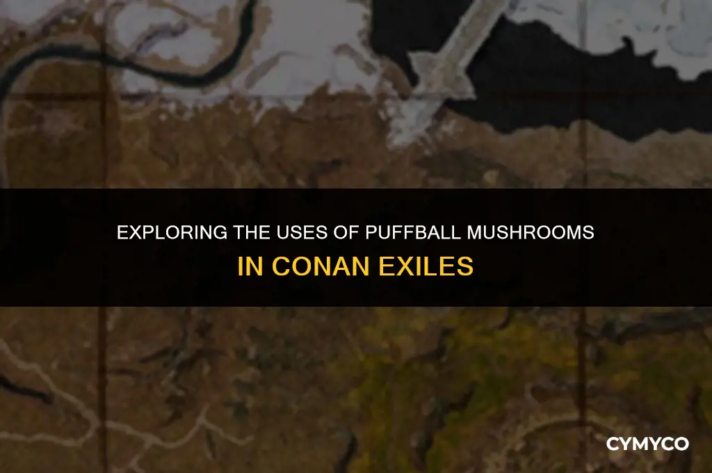 what are puffball mushroomms for conan exiles
