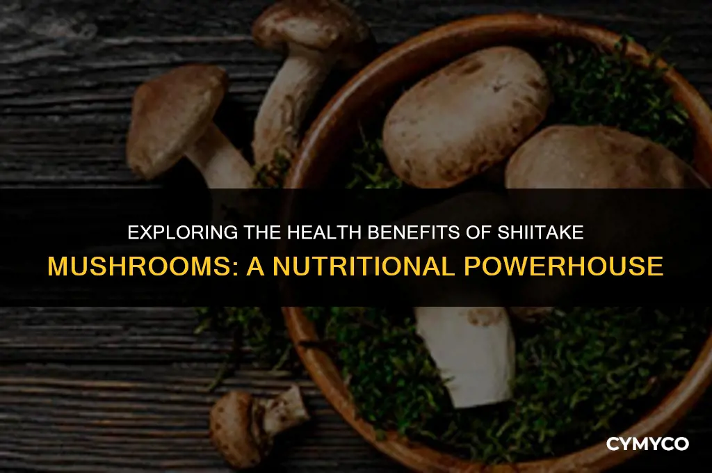 what are shiitake mushrooms good for