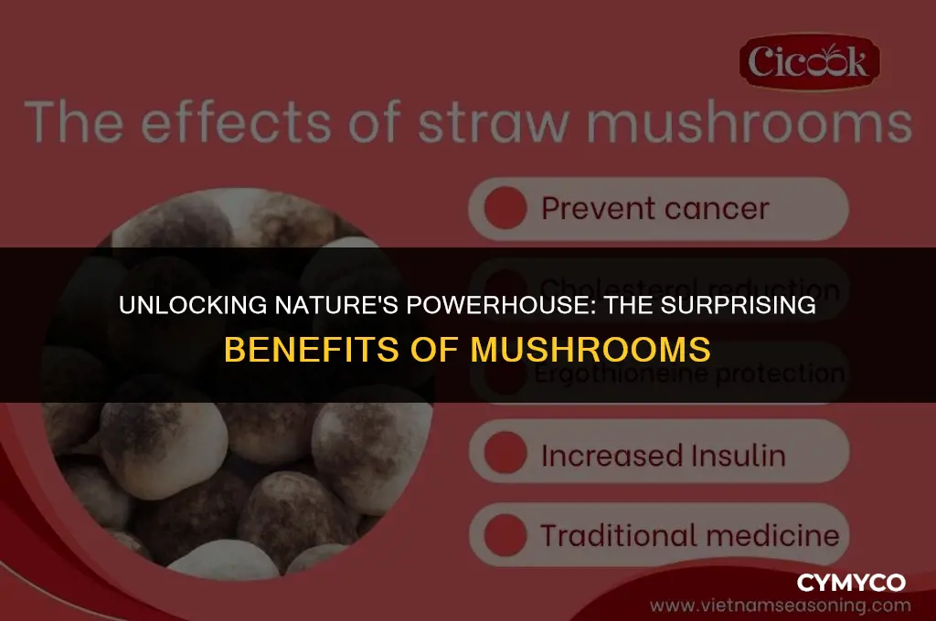 what are the benefits of eating mushrooms