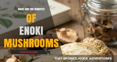 Unlocking Wellness: The Surprising Benefits of Enoki Mushrooms