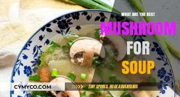 Exploring the Rich Flavors: Top Mushrooms for Your Soup Recipes